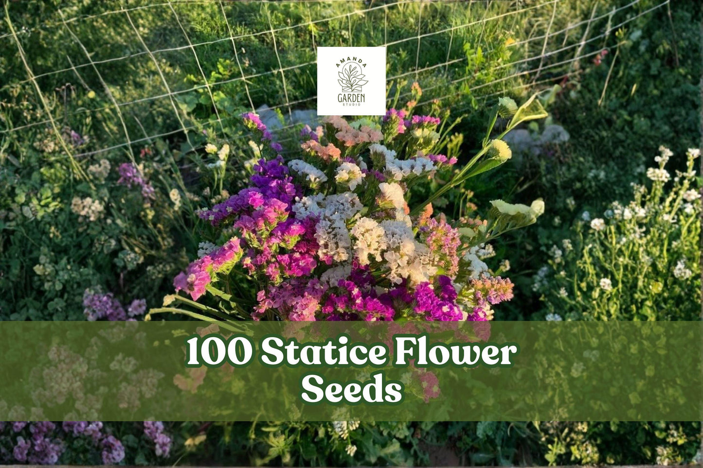 Statice Flower Seeds - 100 Mixed Color Seeds for Cut & Dried Flowers - Limonium spp. Annual for Gardens & Arrangements