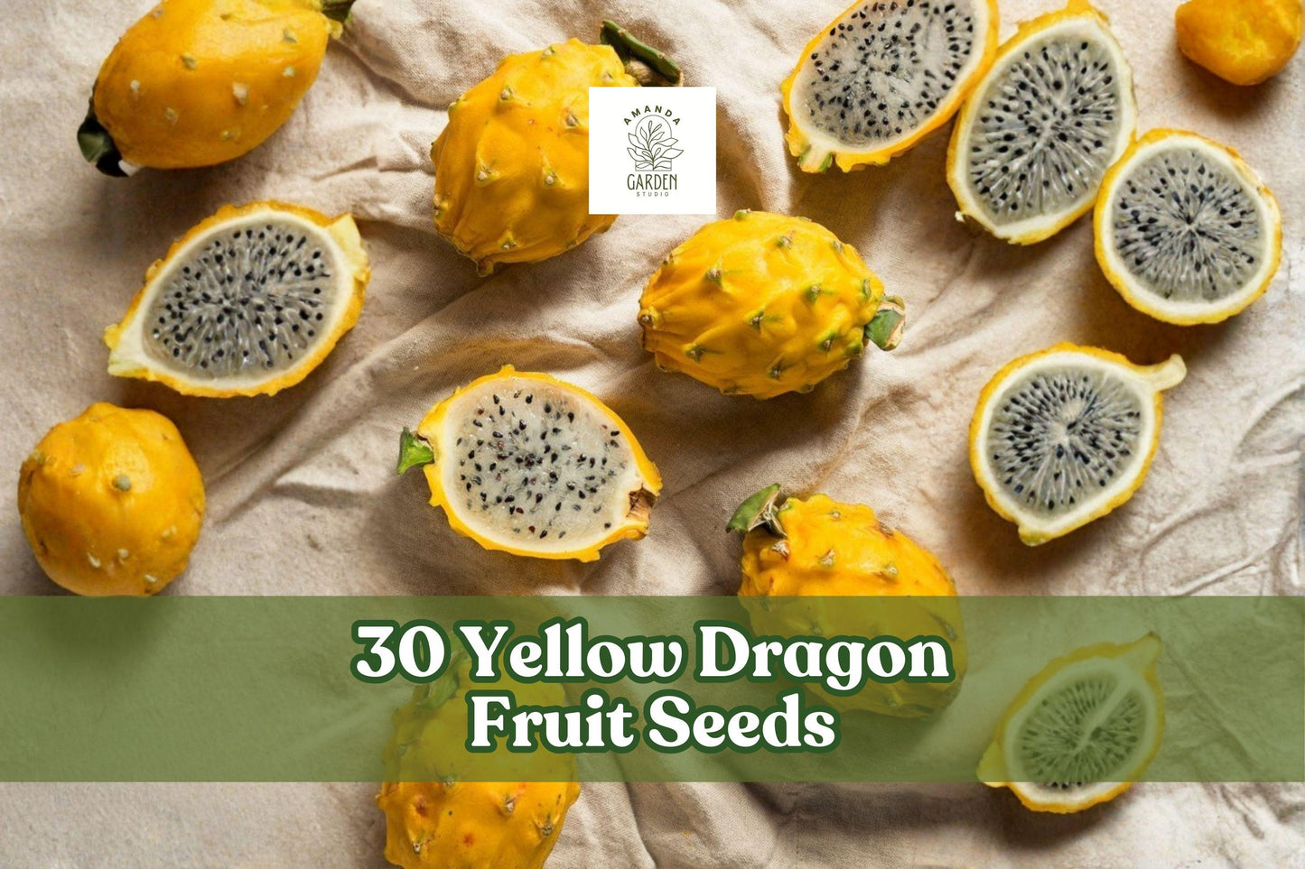 30 Yellow Dragon Fruit Seeds - Selenicereus megalanthus - Tropical Cactus for Exotic Fruit Gardens - Climbing Cactus Seeds