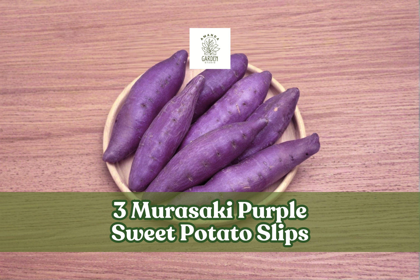 Murasaki Purple Sweet Potato Slips - 3 Healthy Starter Plants - Ipomoea batatas - Easy to Grow for Vegetable Gardens