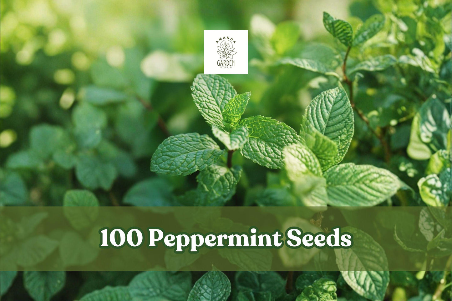 Peppermint Seeds - 100 Count - Aromatic Herb for Culinary Use - Mentha × piperita - Easy to Grow for Herb Gardens and Containers