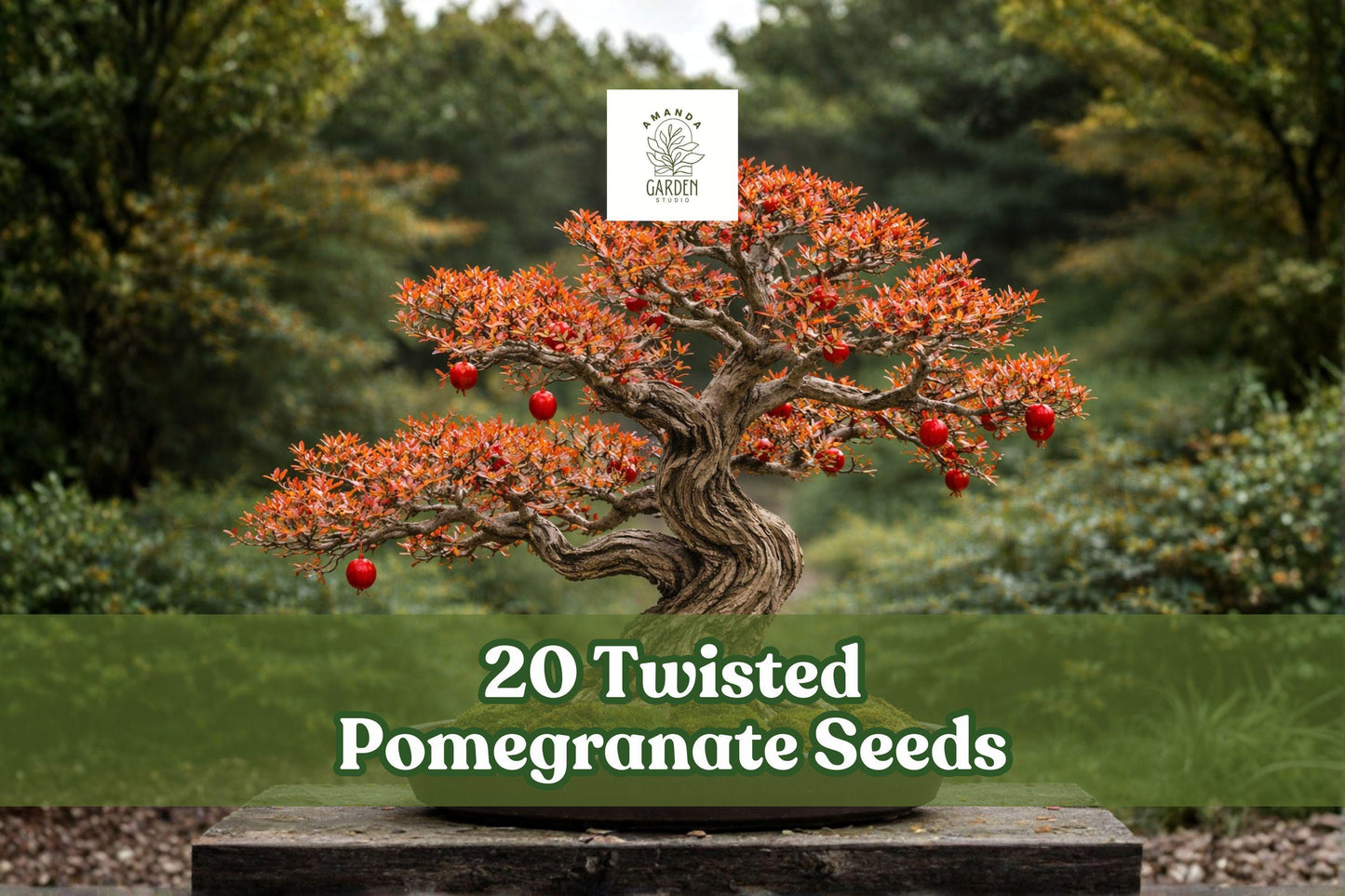 Twisted Pomegranate Seeds - 20 Count - Punica granatum - Unique Bonsai Fruit Tree for Garden & Container Planting