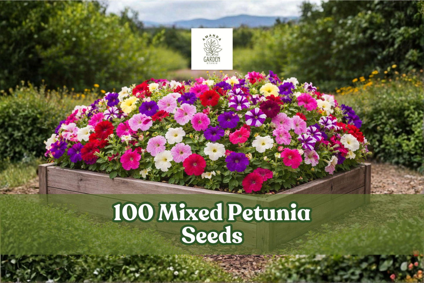 Mixed Petunia Seeds - 100 Colorful Annual Flower Seeds - Petunia spp. for Garden Beds, Containers & Baskets