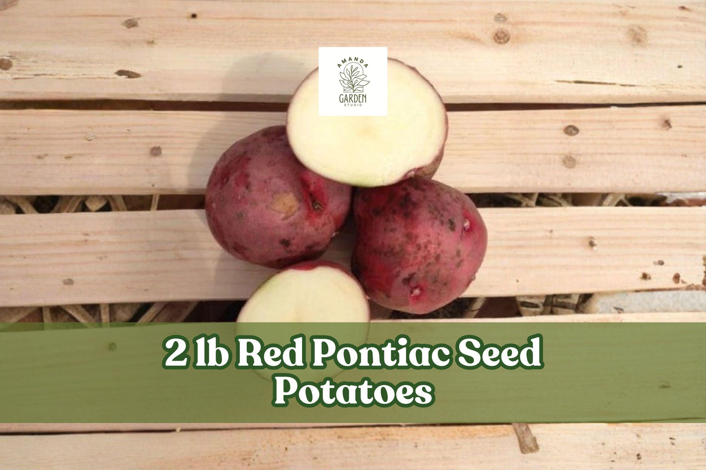 2 lb Red Pontiac Seed Potatoes - Smooth Red Skin Vegetable Crop - Solanum tuberosum for Home Garden Harvest