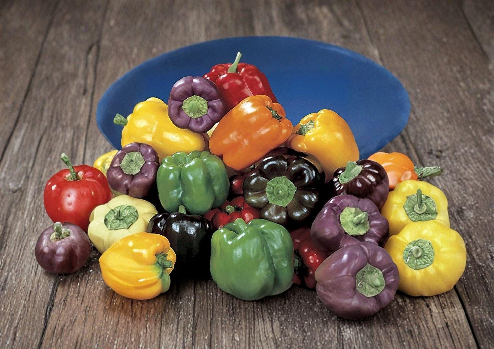 Sweet Spicy Pepper Mix Seeds - 100+ Heirloom Non-GMO Colorful Chili Pepper Blend - Capsicum Vegetable Garden Planting Seeds