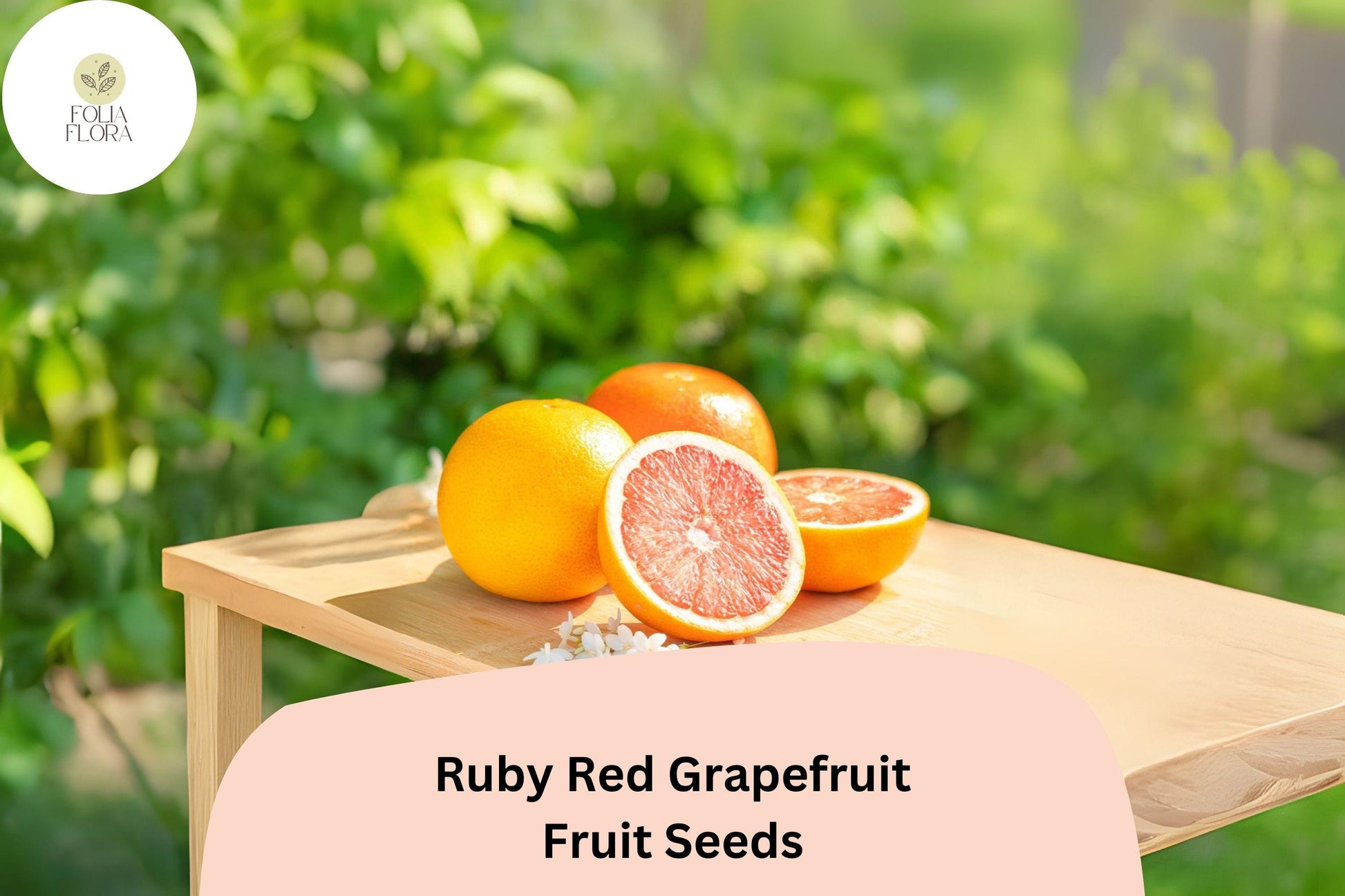 Ruby Red Grapefruit Seeds - 15 Count - Citrus × paradisi - Grow Your Own Tropical Fruit Tree