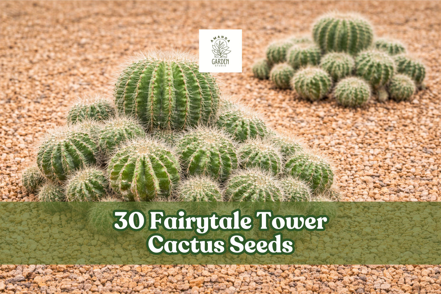 Fairytale Tower Cactus Seeds - 30 Echinopsis mamillosa - Unique Ornamental Columnar Cactus for Succulent Gardens & Containers