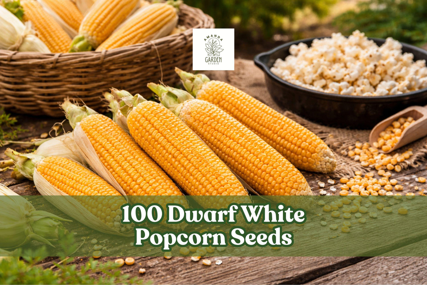 Dwarf White Popcorn Seeds - 100 Count, Compact Corn Variety, Zea mays, Easy to Grow for Small Gardens and Raised Beds