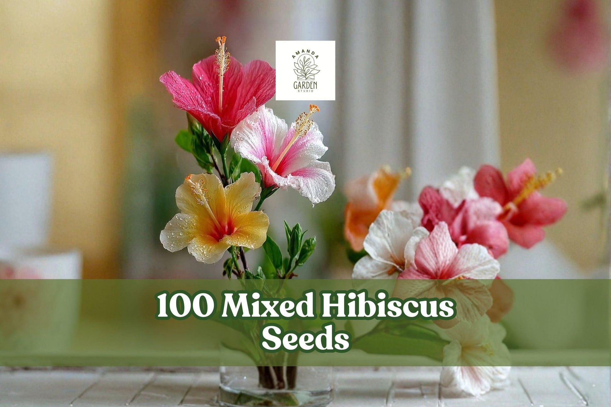 Mixed Hibiscus Seeds - 100+ Colorful Perennial Flower Seeds for Garden & Containers - Hibiscus spp.