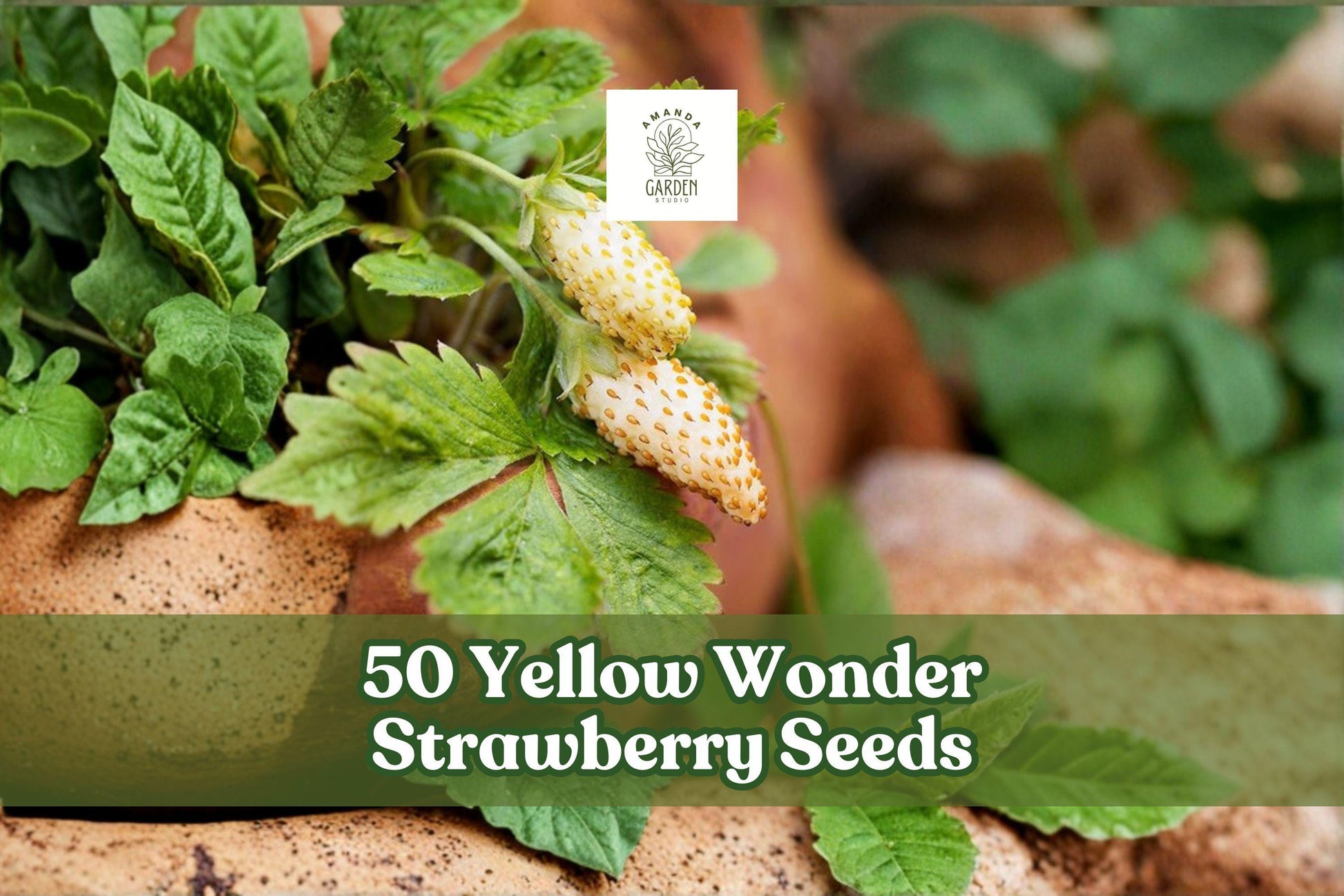 Yellow Wonder Strawberry Seeds - 50 Pack, Fragaria vesca, Alpine Variety, Pale Yellow Fruits, Compact Growth for Gardens