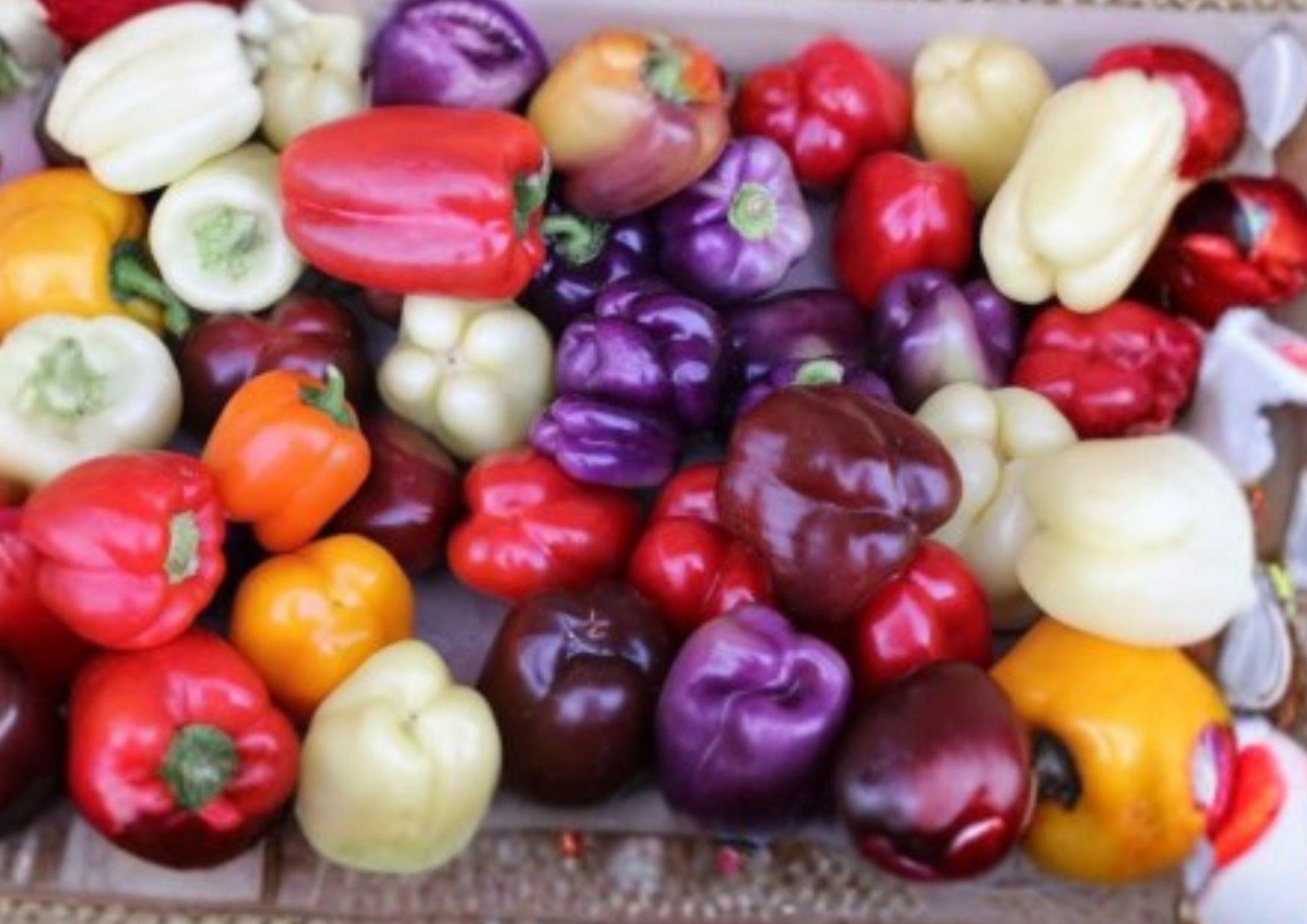 Rainbow Bell Pepper Seed Mix - 120+ Heirloom Sweet Pepper Seeds, 7 Color Varieties, Non-GMO for Garden Planting - Bloom Haven Nursery