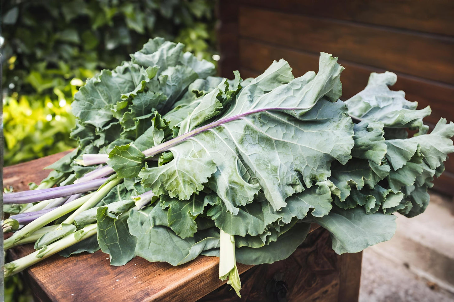 Collard Greens Seeds - 250 Champion Collard Seeds (Brassica oleracea) - High-Yielding, Tender Leaves for Cooking
