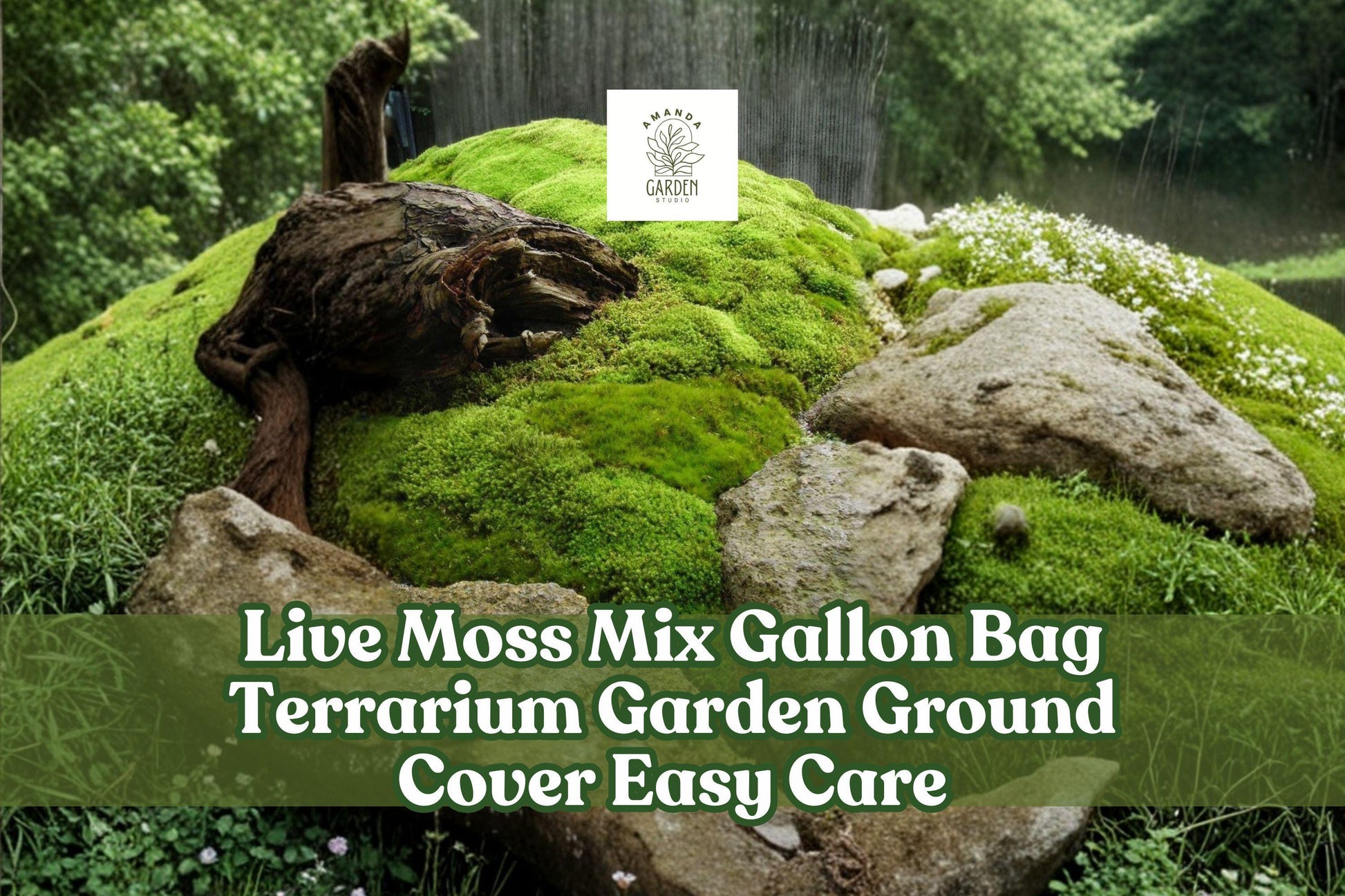 Live Moss Mix Gallon Bag - Green Ground Cover for Terrariums & Gardens - Apple, Sheet, Carpet, Star Moss Assortment