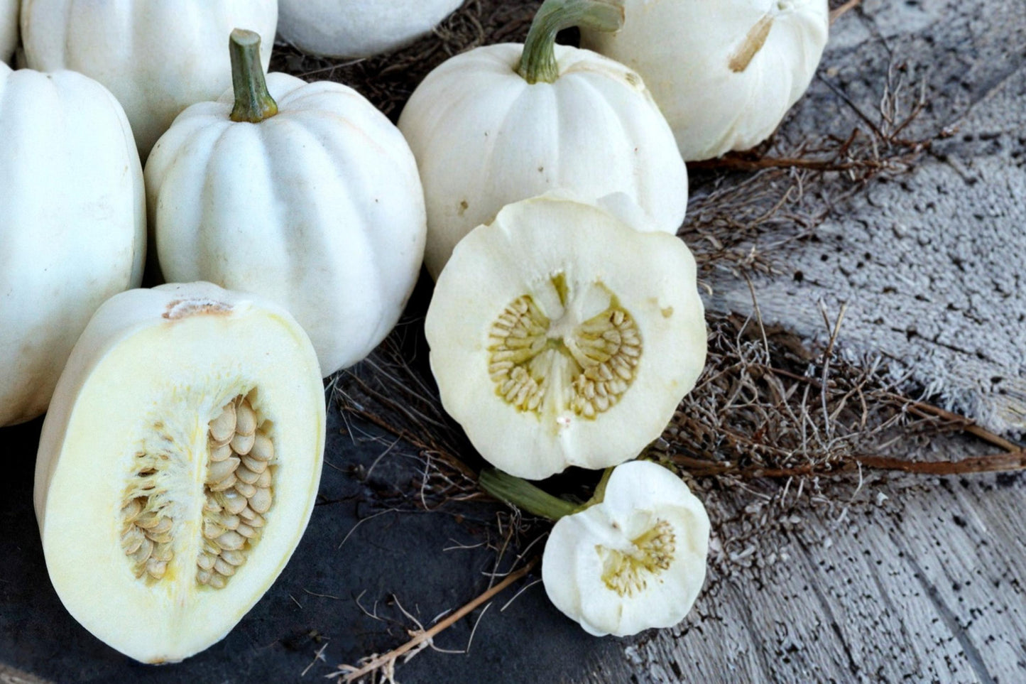 Mashed Potato Squash Seeds 10 Pack - White Skin, Dense Flesh - Cucurbita pepo - Annual Winter Squash for Garden & Cooking