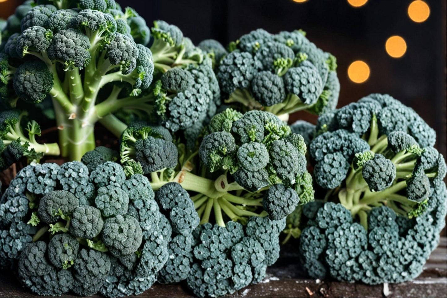 Broccolini Seeds 100 Count - Brassica oleracea - Cool-Season Vegetable for Home Garden - Tender Green Florets