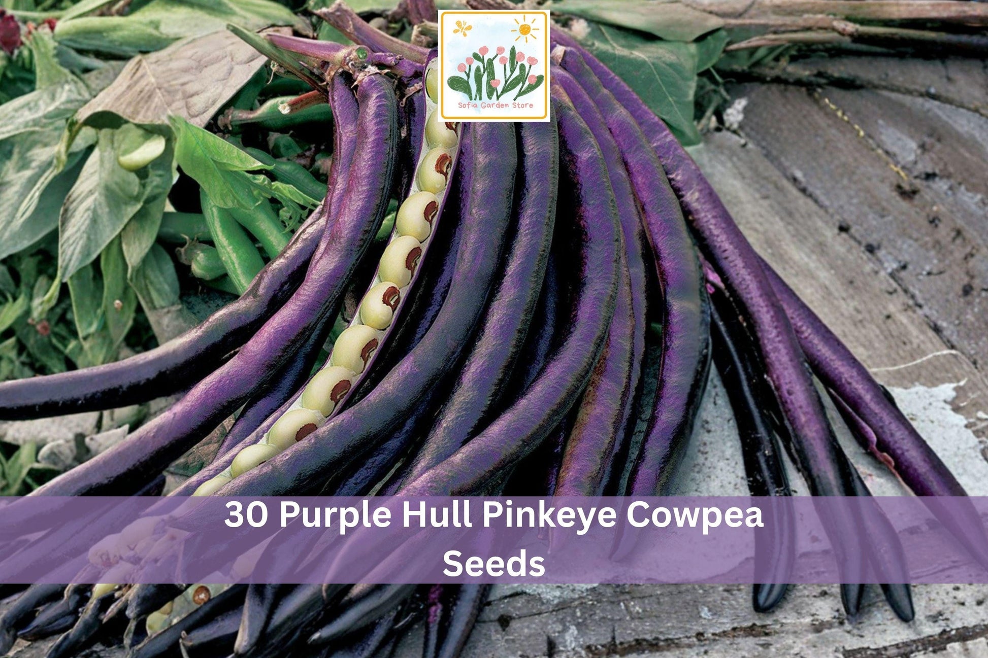 30 Purple Hull Pinkeye Cowpea Seeds - Vigna unguiculata - Warm-Season Legume for Outdoor Gardens