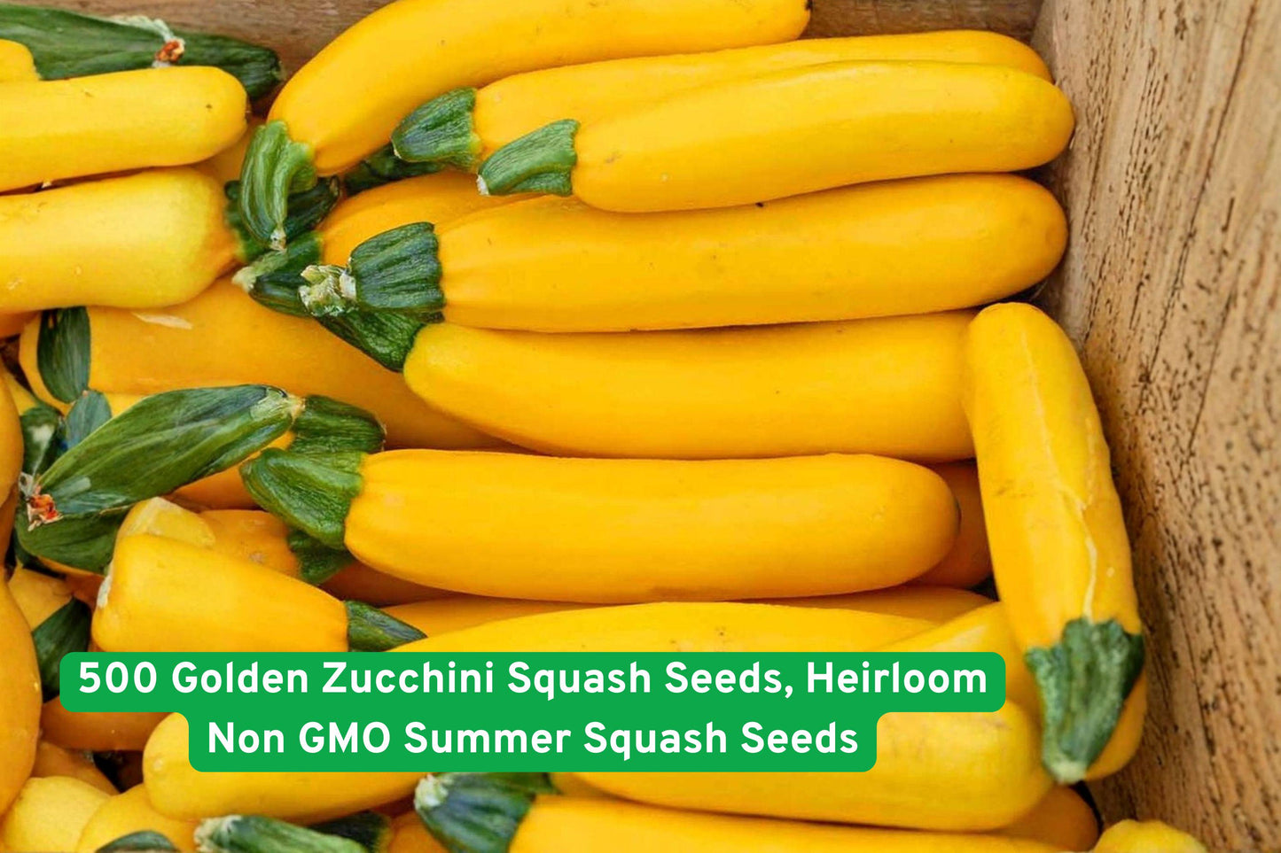 Golden Zucchini Squash Seeds, 500 Heirloom Non-GMO, Bright Yellow Summer Squash, Cucurbita pepo, High-Yield Garden Favorite