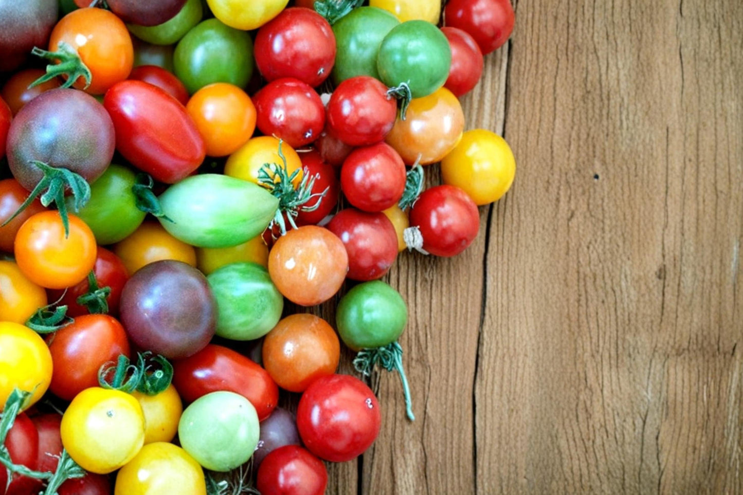 Rainbow Cherry Tomato Seeds - 100 Count - Colorful Blend of Red, Yellow, Orange - Solanum lycopersicum Edible Plant Seed