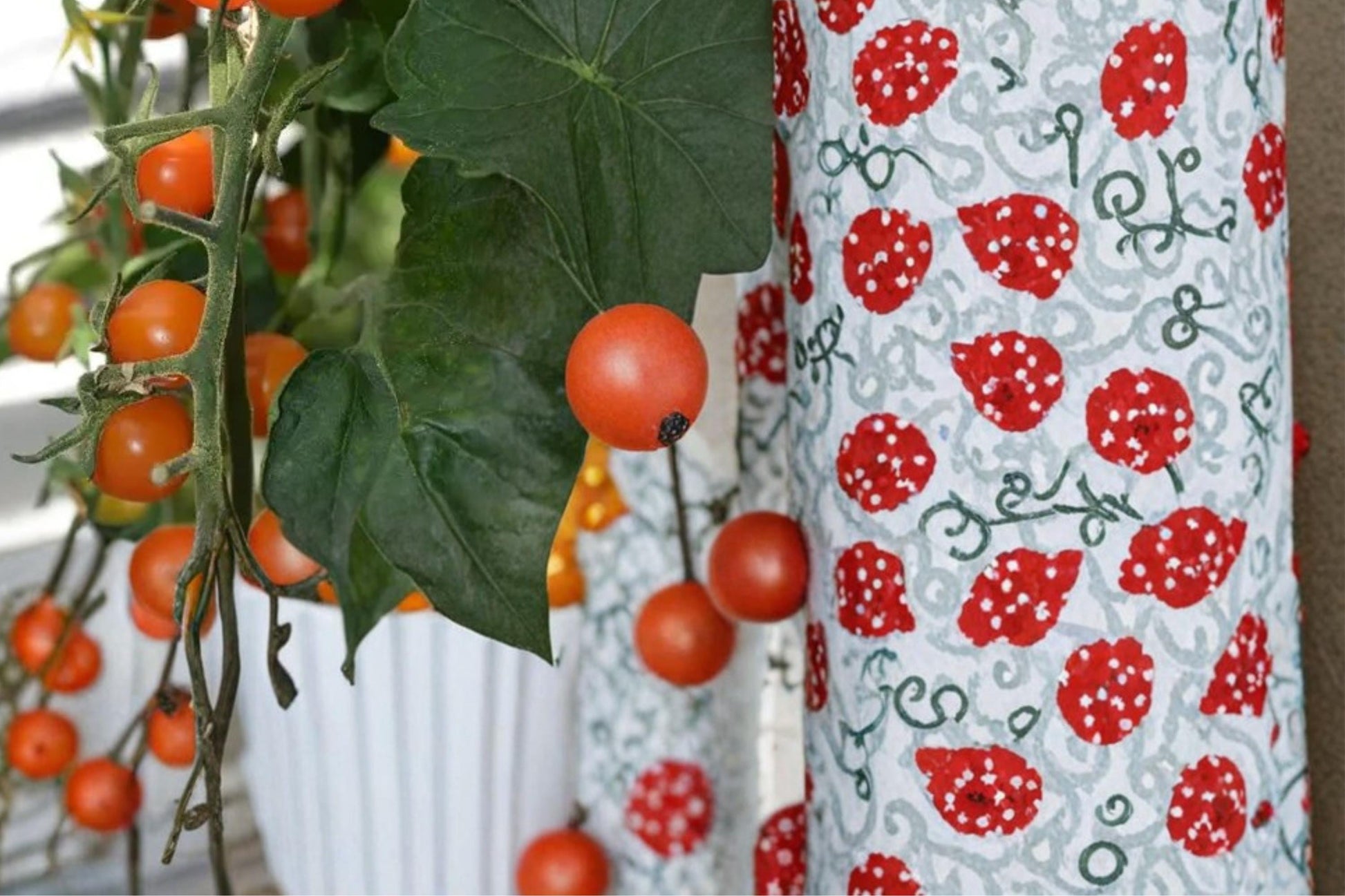 Sun Sugar Cherry Tomato Seeds - 10 Seeds - Sweet Orange Fruit - Solanum lycopersicum - Early Fruiting Edible Plant