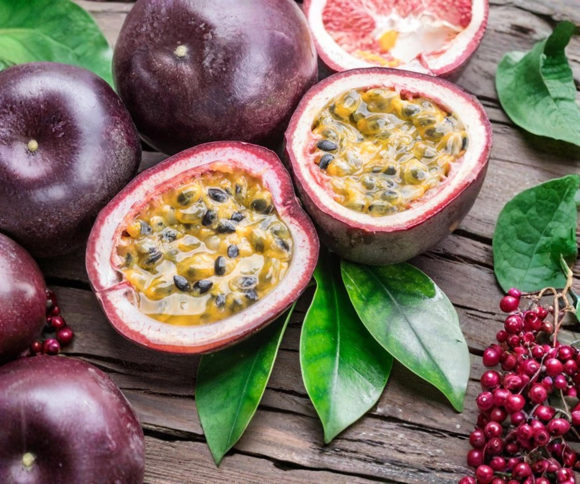 Possum Purple Passion Fruit Live Plants Set of 4 - Tropical Vine Starter for Indoor Outdoor Gardens - Passiflora edulis