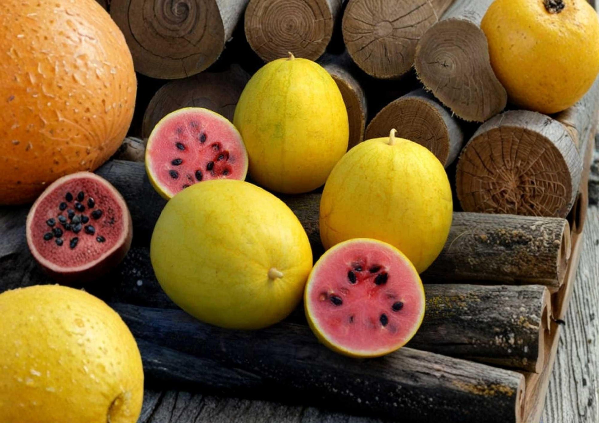 Golden Midget Watermelon Seeds - 12 Heirloom Organic Non-GMO Mini Yellow Skinned Sweet Fruit Seeds for Garden Planting - Citrullus lanatus