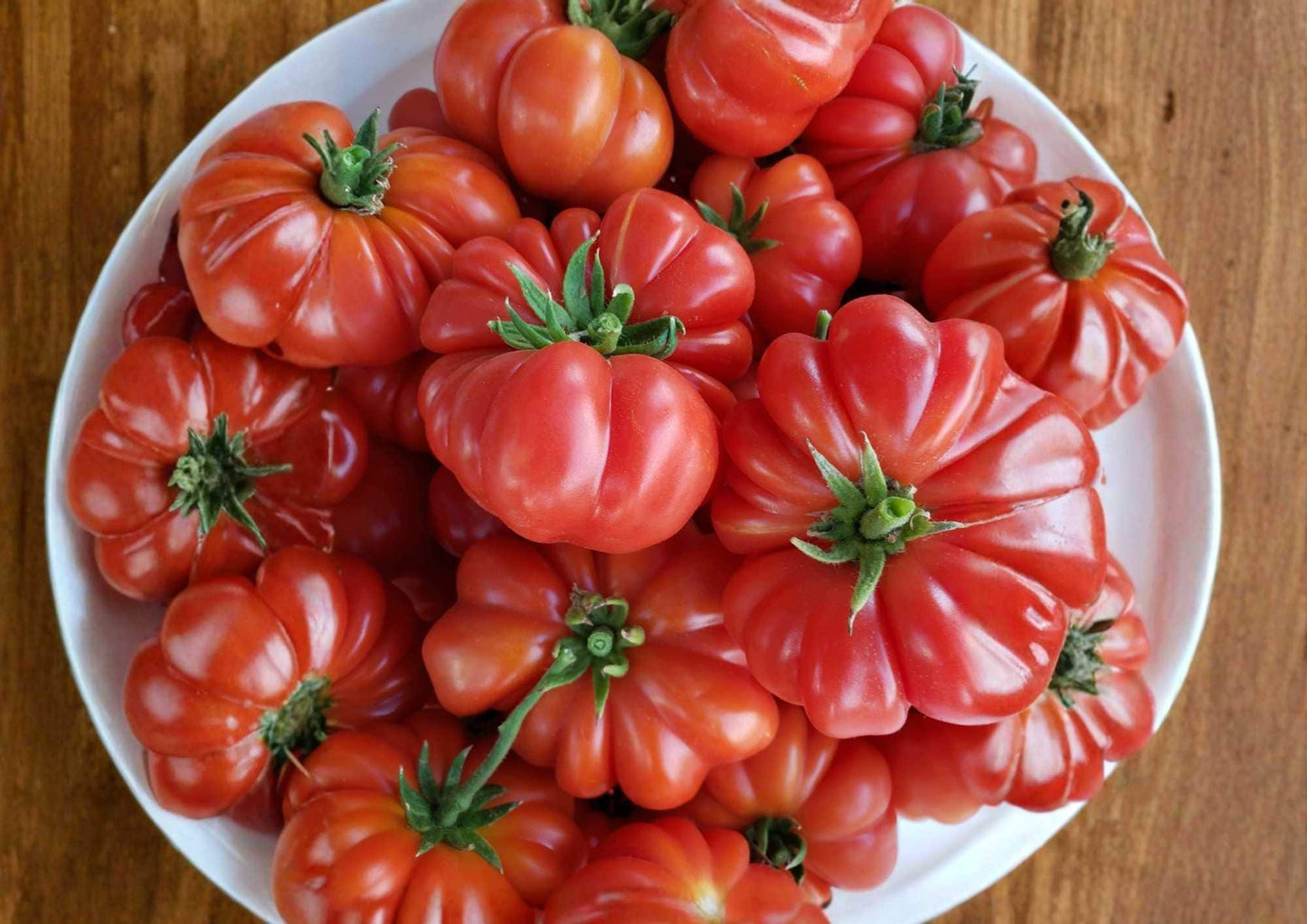 Abe Lincoln Tomato Seeds - 120+ Heirloom Rare Vegetable Seeds for Garden Planting, Large Red Beefsteak, Non-GMO