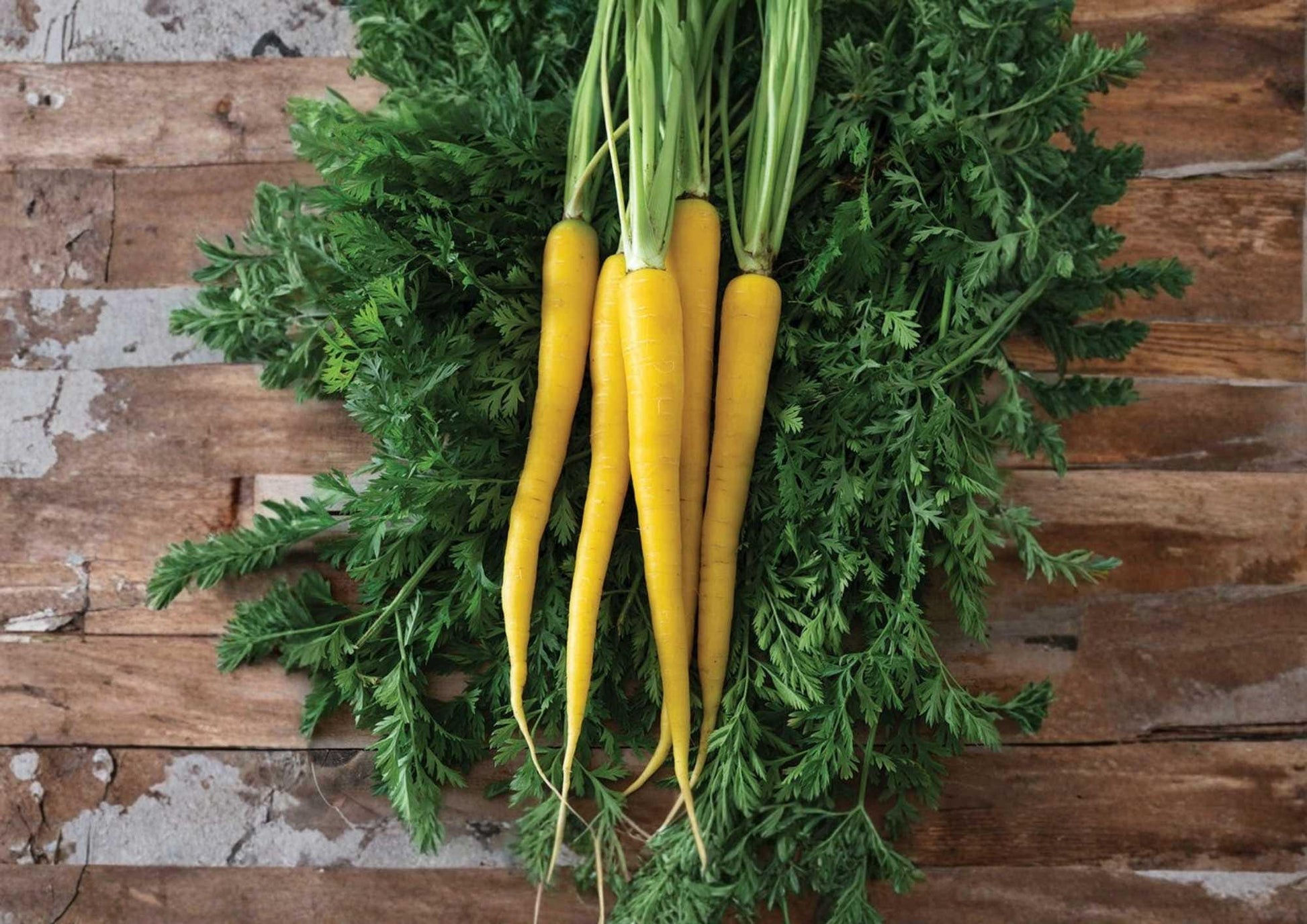 Yellow Carrot Seeds - 200+ Rare Heirloom Vegetable Seeds - Sweet Golden Crunchy Root Variety for Garden Planting - Fast Growing