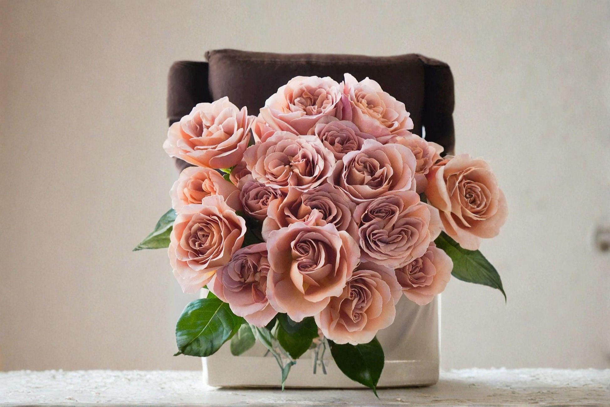 Cafe Latte Rose Cuttings - 3 Unrooted Cuttings - Rosa hybrid - Beige Brown Blooms for Propagation and Grafting
