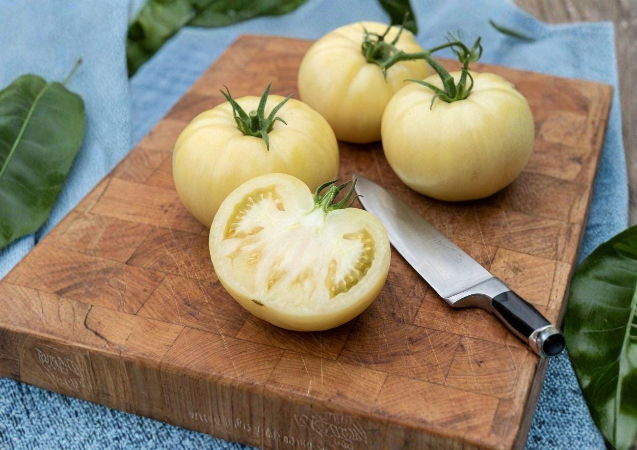 Chefs Choice White Tomato Seeds - 30+ Heirloom Vegetable Seeds, Pale Cream Slicer, Mild Sweet Flavor, Fresh Stock