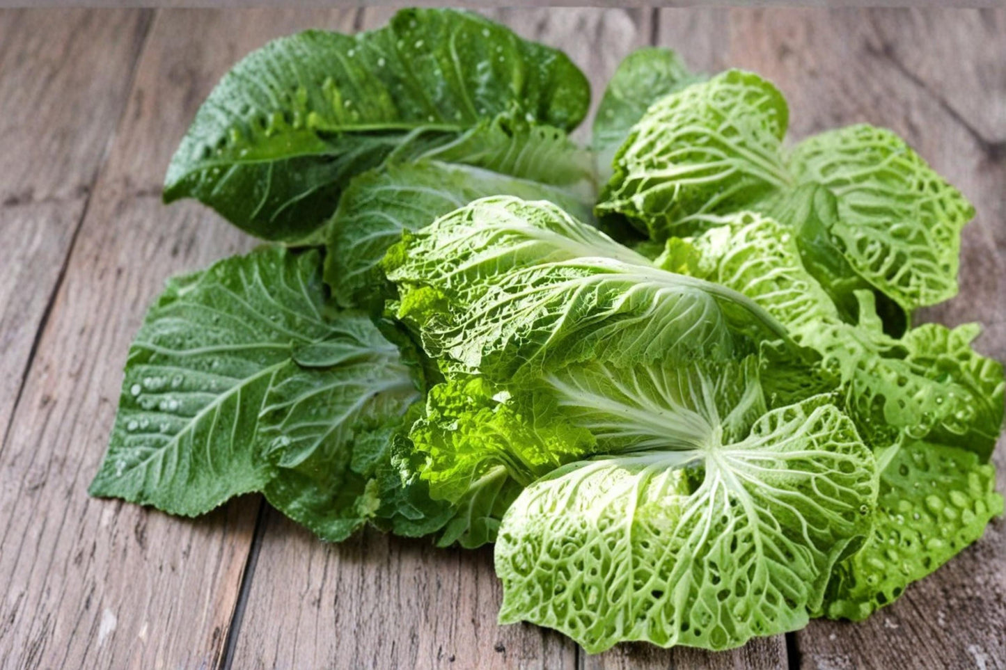 Chinese Cabbage Seeds 150 Count – Brassica rapa 'Kogane' – Leafy Vegetable for Salads & Stir-Fries, Compact Heads, Mild Flavor