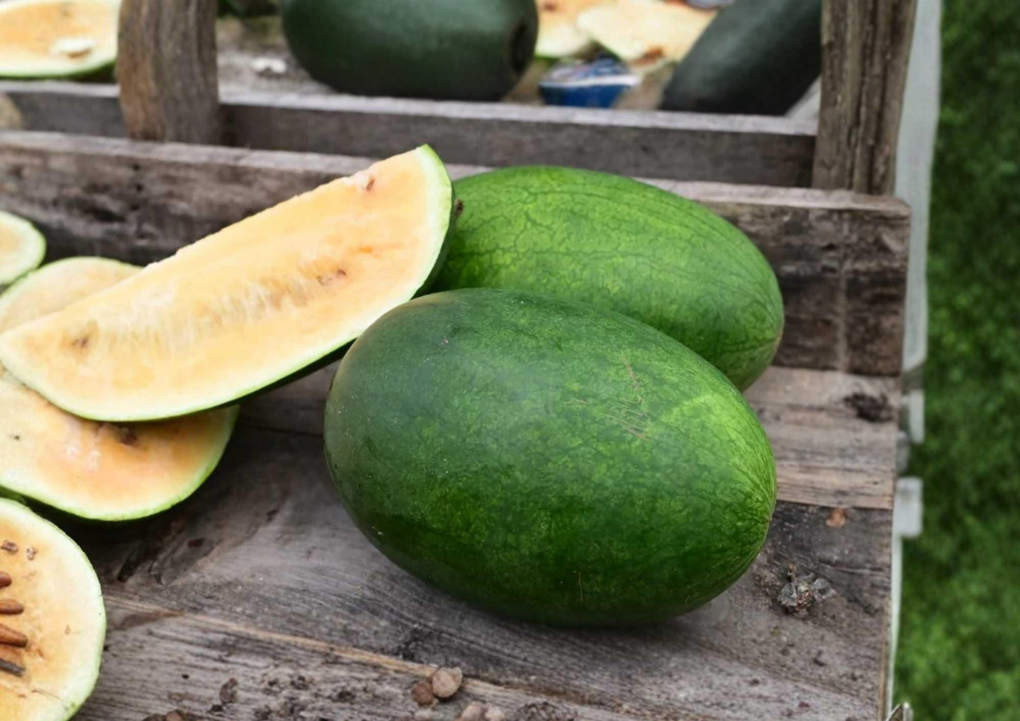 Tendersweet Orange Watermelon Seeds - Heirloom Non-GMO - Sweet Juicy Fruit for Garden Planting - Citrullus lanatus