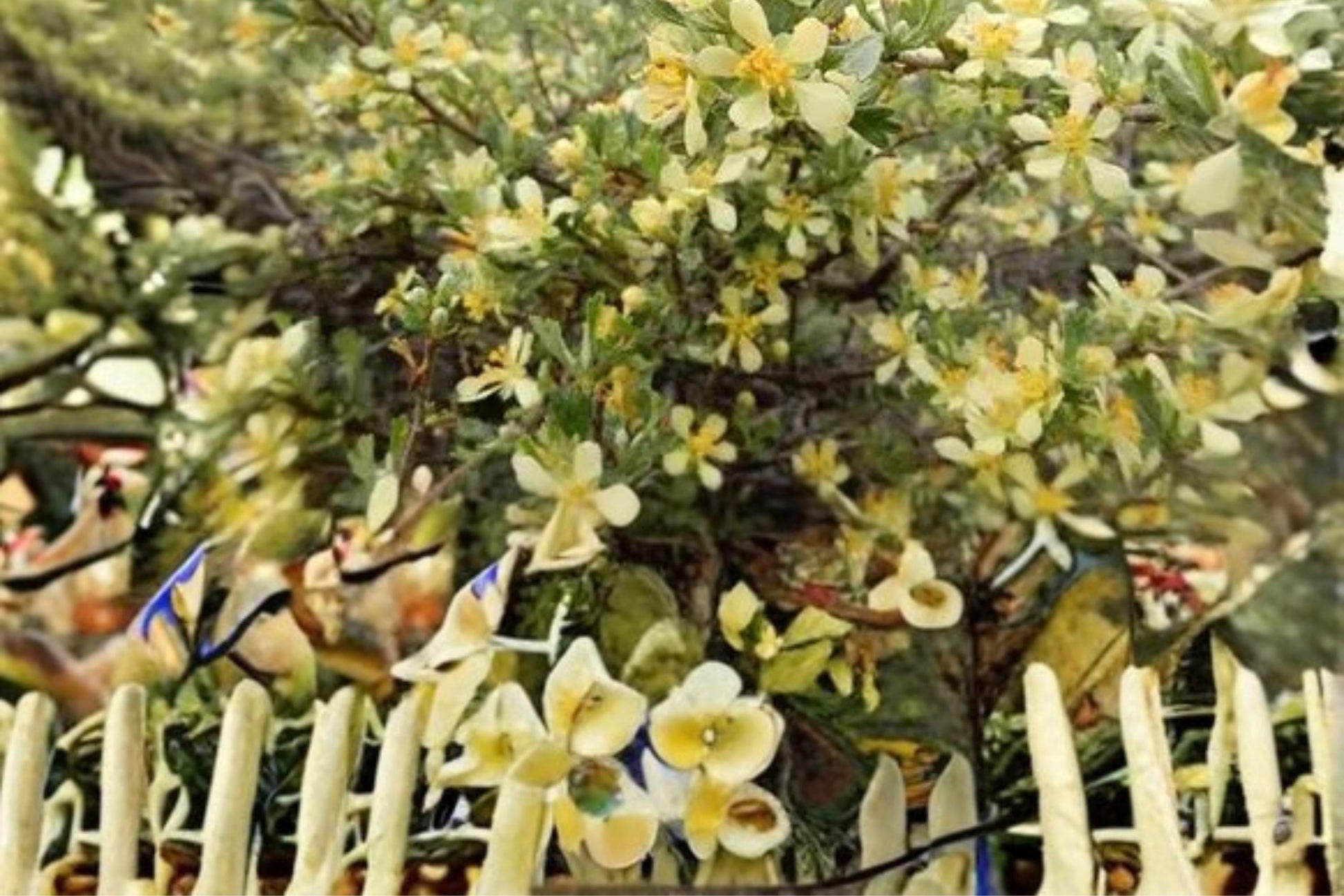 Antelope Bitterbrush Seeds - 10 Seeds - Drought Tolerant Shrub - Purshia tridentata - Yellow Flowers - Native to Arid Landscapes