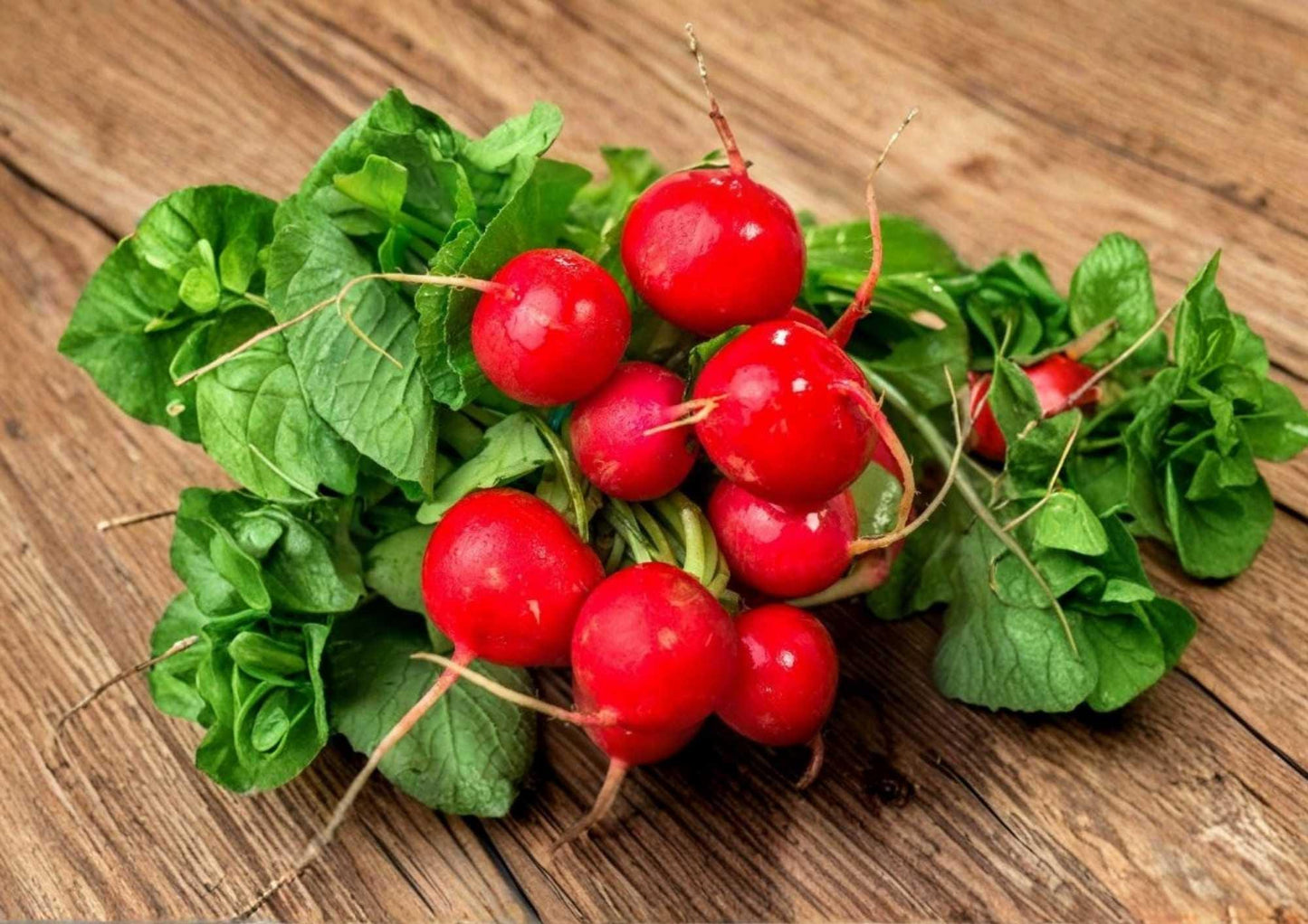 Cherry Belle Radish Seeds - 300+ Heirloom Non-GMO Vegetable Seeds, Round Bright Red, Crisp Mild Flavor, Fast Growing