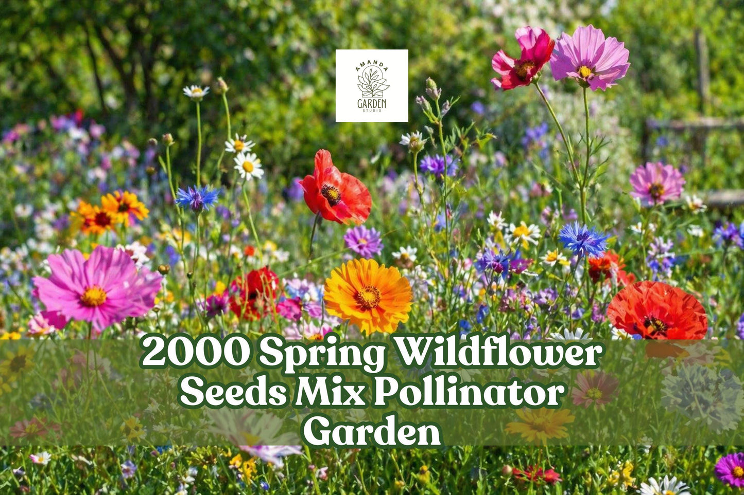Wildflower Seeds Mix 2000+ Count Multicolor Pollinator Garden Blend (Mixed Annuals & Perennials)