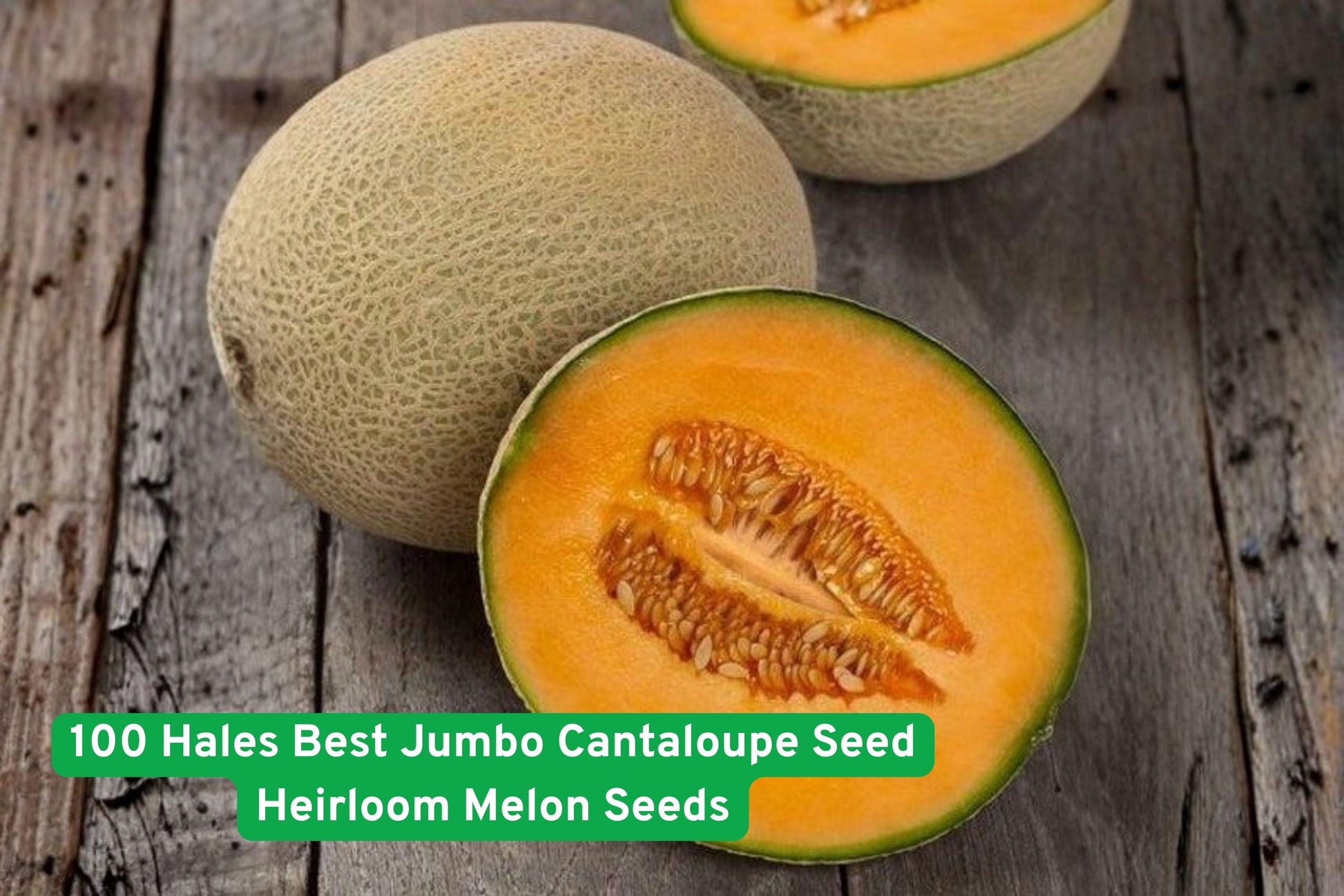 100 Hale's Best Jumbo Cantaloupe Seeds, Heirloom Orange Melon, Non-GMO Cucumis melo for Home Gardening and Edible Gardens