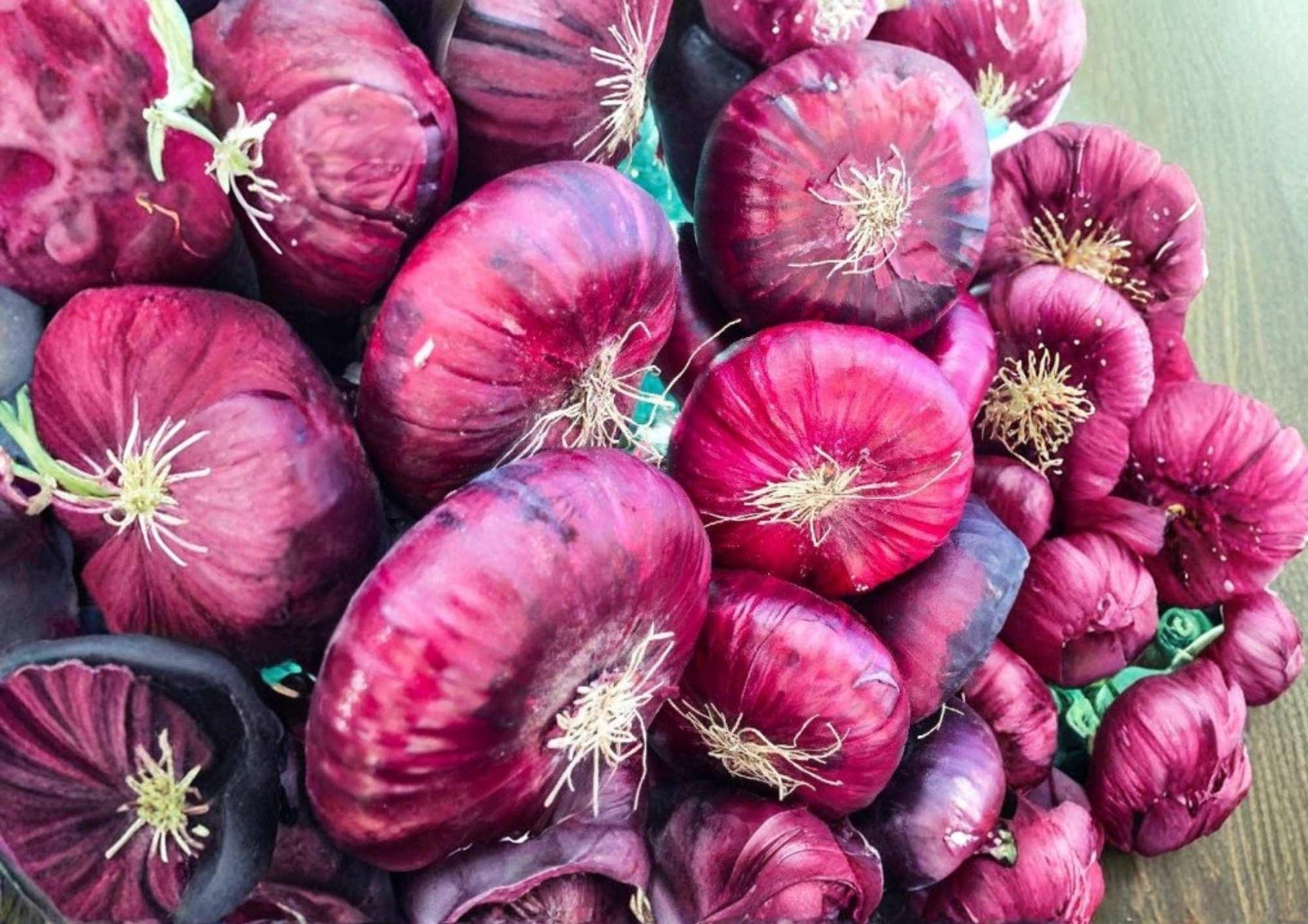 Red Burgundy Onion Seeds - 250+ Heirloom Vegetable Seeds, Deep Red Bulb, Sweet Mild Flavor, High Yield Variety