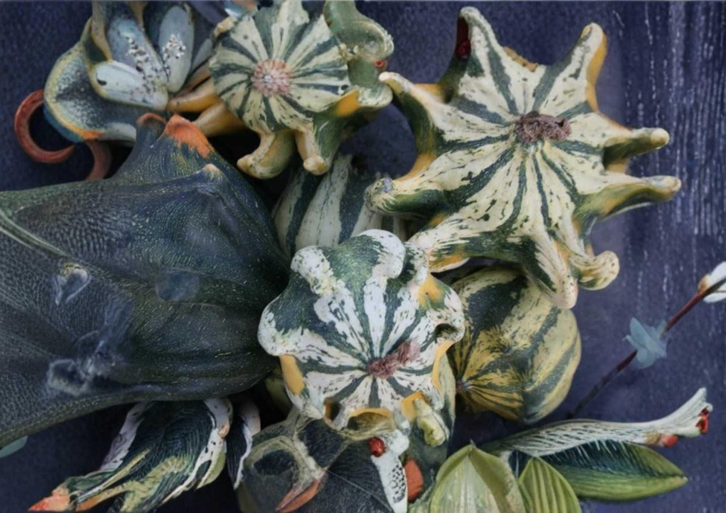Crown of Thorns Gourd Seeds - 30+ Heirloom Non-GMO Ornamental Squash Seeds - Colorful Spiny Variety for Garden Planting
