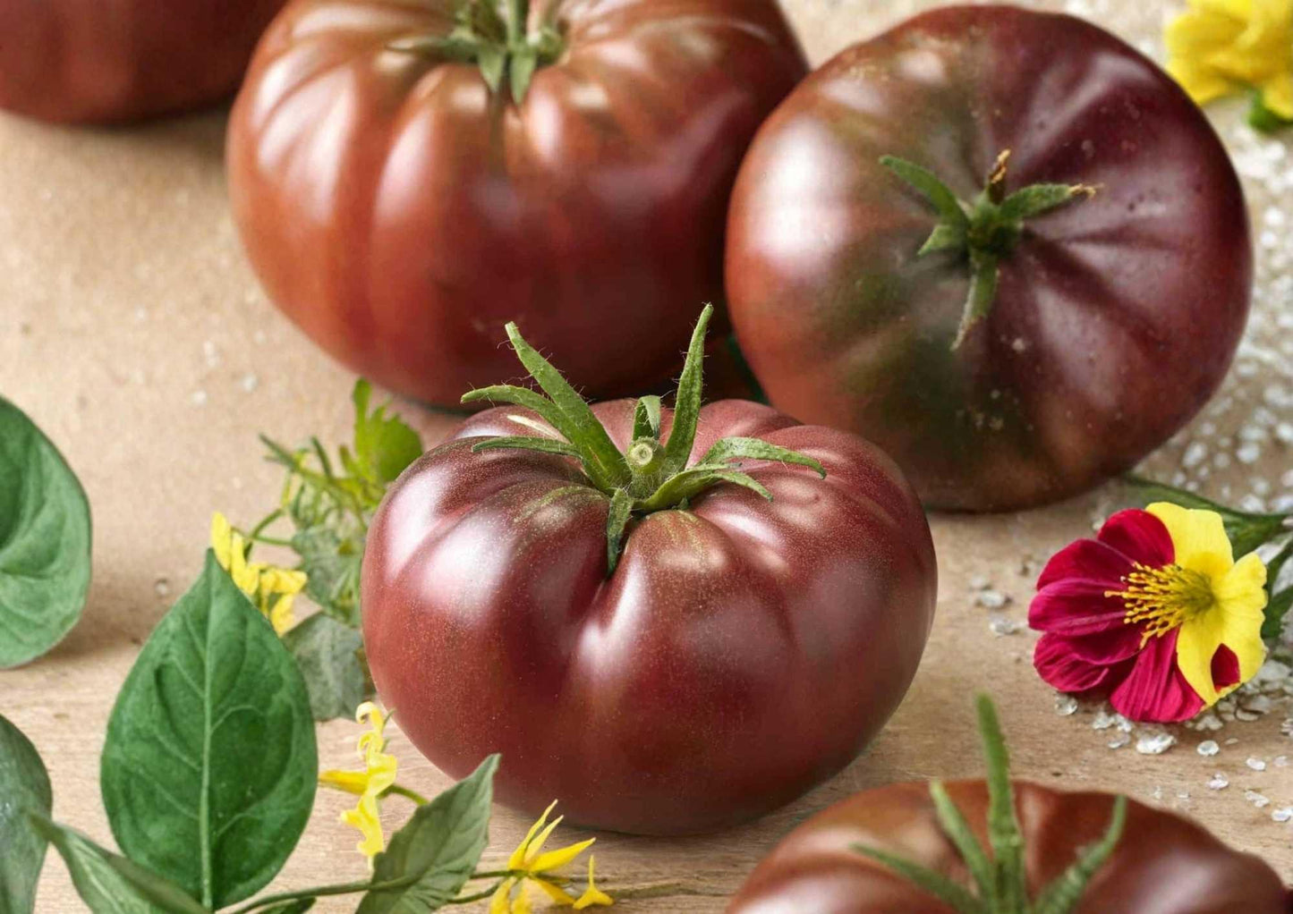 Black Brandywine Tomato Seeds - 120+ Heirloom Non-GMO Beefsteak Variety - Rich Sweet Flavor (Solanum lycopersicum)