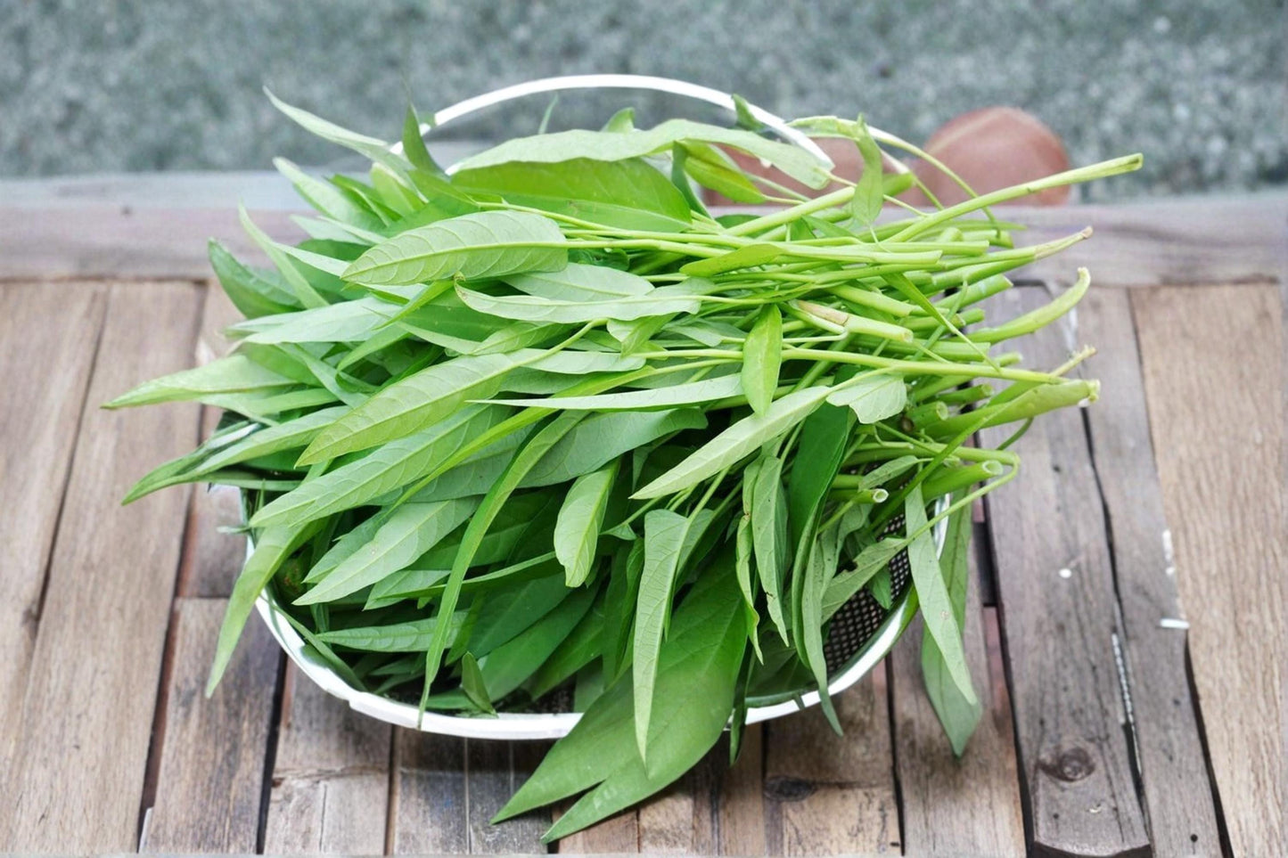 Water Spinach Seeds 500 Count Ong Choy Ipomoea aquatica Fast-Growing Leafy Vegetable for Warm Moist Gardens