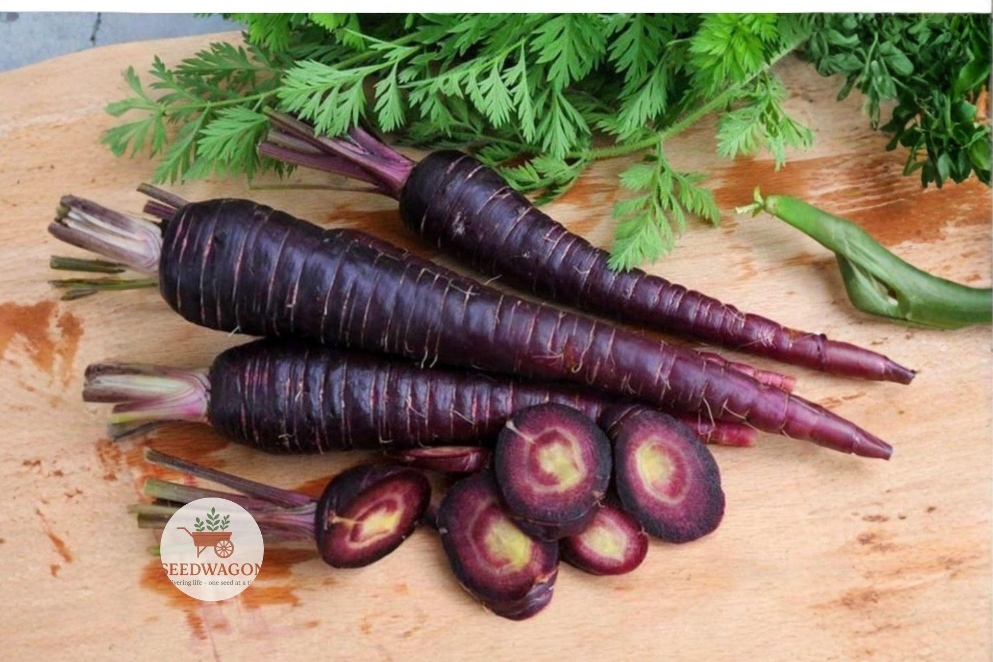 Purple Haze Carrot Seeds - 100+ Count Non-GMO Hybrid, Daucus carota, Sweet Flavor, Deep Purple Color, Easy to Grow Vegetable