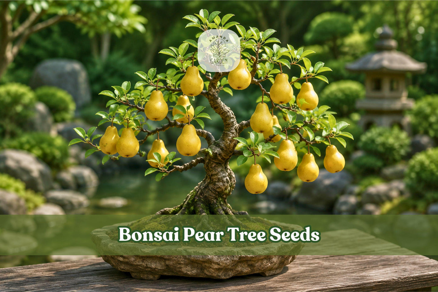 Bonsai Pear Tree Seeds - 8 Pyrus communis, Fruit-Bearing Mini Tree Seeds, Hardy European Pear Variety for Indoor Gardens