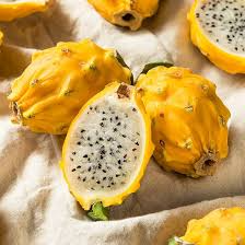 Yellow Dragon Fruit Cutting - 1 Rare Pitaya Stem, Selenicereus megalanthus, Sweet Tropical Cactus, Self-Pollinating, No Roots