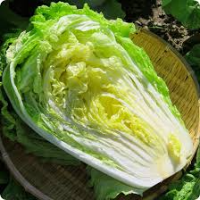 Chinese Cabbage Seeds 500mg - Kogane Heirloom, Sweet & Tender, Fast Growing, Cold Hardy, Brassica rapa subsp. pekinensis