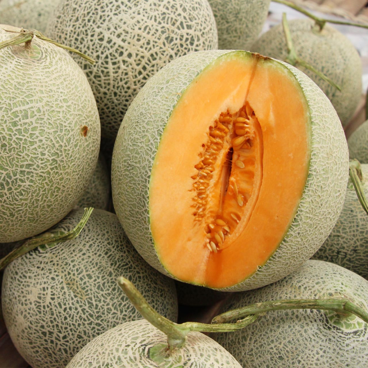 20 Seeds Hales Best Jumbo Cantaloupe, Sweet Juicy Melon, Cucumis melo, Perfect for Home Gardeners