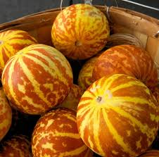 10 Seeds Tigger Melon - Unique Heirloom Fruit - Striped Skin, Sweet Flesh - Cucumis melo - Perfect for Home Gardens