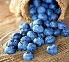 100 Blueberry Seeds - Dwarf Top Hat Variety (Vaccinium corymbosum) - Sweet Edible Fruits, Compact Garden Starter, Easy to Grow
