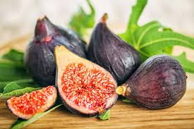 Ficus "Black Mission" Fig Tree Starter Plant - Hardy Ficus carica, Indoor/Outdoor Edible Fruit, Home Garden