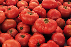 Tomato Seeds 100mg VR Moscow Heirloom, Rich Flavor, Cold Hardy, High Yield, Solanum lycopersicum, Great for Slicing & Salads