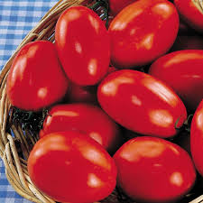 30 Seeds San Marzano Short Vine Tomato, Heirloom Indeterminate, Lycopersicon Esculentum, Meaty & Low-Acidity Fruits