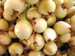 Walla Walla Sweet Onion Seeds 250mg - Extra Sweet Heirloom Allium cepa for Slicing, Salads & Grilling, Cold Hardy