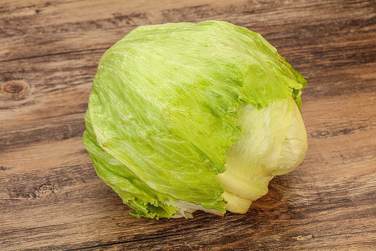 Iceberg Lettuce Seeds - 1000 Count - Crisp & Refreshing Salad Variety - Lactuca sativa - Non-GMO, High-Yield, Cold-Hardy